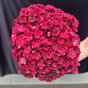 Hortensia Roja de Hoja Grande y Doble Flor, Tamaño Personalizado, Decoración de Boda, Conservada para Siempre, Superventas en Kunming Ruipu - Product Image 4