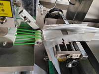 Machine verticale de lingette humide de sachet simple de dg pour des hôtels et des restaurants 220V 2.4kW garantie de 1 an