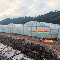 Serre Tunnel en Film Plastique de 8x30 Mètres, Commerciale Agricole, pour Tomates, Roses et Laitues, En Stock