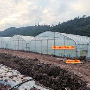 Invernadero de Túnel de Plástico Agrícola y Comercial de 8x30 Metros <span class=keywords><strong>para</strong></span> Cultivo de Vegetales, Tomates, Rosas y Lechugas - Product Image 4