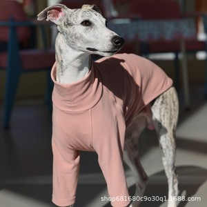Camiseta de cuello alto de color liso para primavera, en stock, para <span class=keywords><strong>Galgo</strong></span> Italiano y Whippet, ropa informal para mascotas - Product Image 6