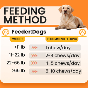 Probióticos Masticables Suaves Personalizados <span class=keywords><strong>al</strong></span> por Mayor para Mascotas, Probióticos para la Digestión y la Salud Intestinal en Perros y Gatos OEM ODM - Product Image 5