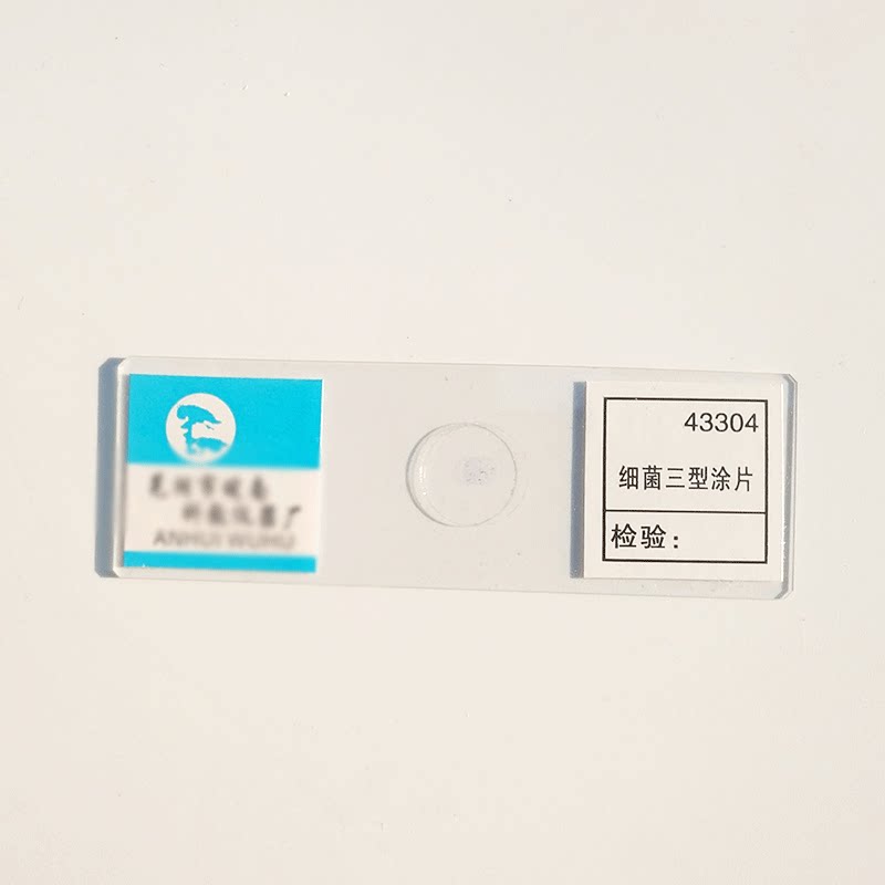 Frotis bacteriano tipo tres