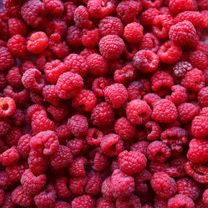 Nouvelle <span class=keywords><strong>Saison</strong></span> Services OEM/Vente en Gros Baies Surgelées IQF Framboises Fraîches Surgelées 95% Entières à Vendre - Product Image 2