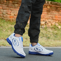 Chaussures de sport synthétiques bleues et blanches, légères, respirantes, confortables, antidérapantes, pour le cricket, la course à pied, été, printemps, automne, hiver, usage quotidien