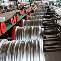 Fil de fer barbelé galvanisé à chaud fiable de 2,0 mm, fil de fer barbelé rasoir pour la construction, marque Zhentong, norme GB