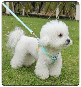 Breathable Mesh Small Dog <b>Harness</b> And Leash Set Cute Cartoon Pattern Adjustable <b>No</b>‑Pull Vest For Puppy Daily Outdoor Walking - Product Image 6
