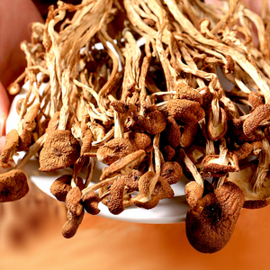 Funghi Secchi Agrocybe Aegerita all'Ingrosso, Funghi Secchi Commestibili, Funghi Secchi da Tè, Alimenti Biologici, Confezione Personalizzata - Product Image 1