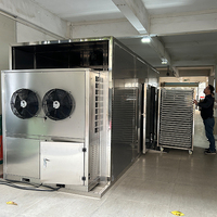 Industriële tropische fruitdroogmachine voor kokosnoot, citroen en meer fruit