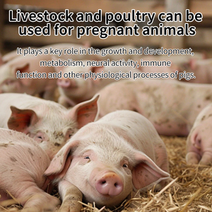 Lợn và gia cầm canxi tăng cường mật độ xương và tốc độ tăng trưởng làm giảm Pica trong gia súc và cừu-Phụ gia thức ăn - Product Image 4