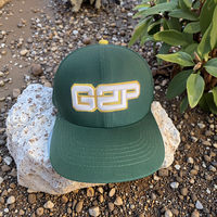 Gorras de Béisbol Personalizadas con Bordado 3D Unisex, Visera Plana, Cierre a Presión, con Logotipo de Hoja de Alto Rendimiento
