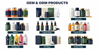 Poudre de jus vert prébiotique premium à l'herbe d'orge, multivitamines, FOS, certifiée GMP, extrait végétal pour complément alimentaire OEM