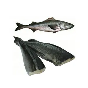 Filet de morue noire de qualité supérieure Kingsun Foods, morue HG congelée dans un processus IQF, emballée dans un sac - Product Image 1