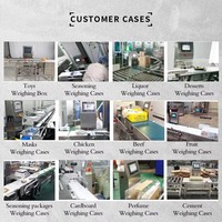 Máquina Automática Personalizada de Pesaje y Clasificación de Tres Etapas para Líneas de Producción de Alta Velocidad en Múltiples Industrias