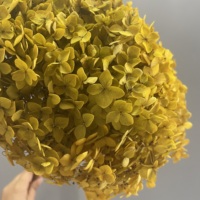 Dekorative Blumen Langlebige Echte Getrocknete Konservierte Grüne Hortensien - Chinesisches Neujahr & Muttertag Fabrikpreis
