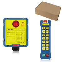 Control remoto de grúa de 868MHz de rendimiento estable de más de, Control remoto de polipasto eléctrico inmediatamente ajustable