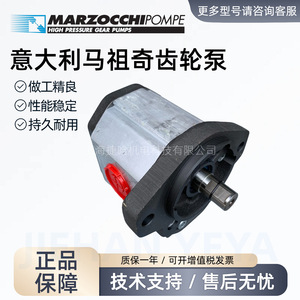 ปั๊มน้ำมันเกียร์แรงดันสูง Marzocchi รุ่น GHP3A-D-66-FG แบบยึดหน้าแปลน ขับเคลื่อนด้วยไฟฟ้า สำหรับอุปกรณ์เครื่องจักรกล - Product Image 3