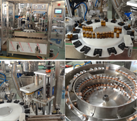Machine de bouchage de remplissage de bouteilles d'ampoules en verre de petite taille entièrement automatique à grande vitesse pour une production efficace