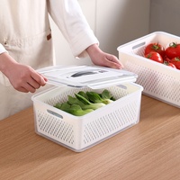 Geïndividualiseerde plastic koelkast afvoer-afgesloten opbergbox - trendy draagbare grote capaciteit groente- en fruitbewaarbox