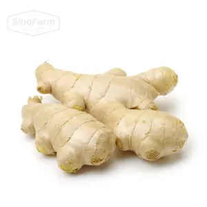 Best Quality New Crop Frozen Ginger Dried Ginger Fresh Ginger For Export