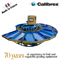 Machine de calibrage multifonctionnelle CALIBREX de petite taille, fabriquée en France, pour tomates, citrons et oranges, avec 10 sorties et table élévatrice à rouleaux.