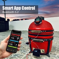 Inalámbrico inteligente para termómetro de carne Bluetooth para Kamado Grill PID BBQ Fan Controller Control de temperatura Sonda de plástico para ODM