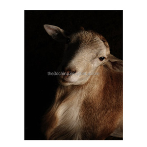 Mới đến lenticular <span class=keywords><strong>3D</strong></span> hình ảnh cho trang trí nội thất <span class=keywords><strong>3D</strong></span> Hiệu ứng động vật lenticular hình ảnh - Product Image 2