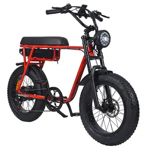 Bicicleta Eléctrica Retro Para hombre y mujer, vehículo DE SUSPENSIÓN COMPLETA, 1000 w, 1000 vatios, neumático ancho de 20 pulgadas