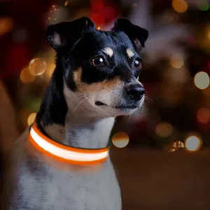 Collar led personalizado para perro y gato, accesorios para mascotas, venta al por mayor, China