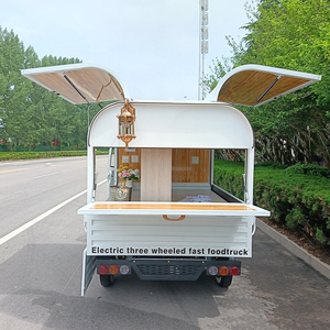 Mignon <span class=keywords><strong>petit</strong></span> camion de nourriture mobile rue café remorque électro-tricycle BBQ bonbons chariot alimentaire multifonction glace-crème voiture - Product Image 5