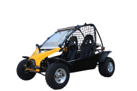 Buggy tout-terrain professionnel 200CC/150cc pour adultes, buggy des sables du désert, transmission par chaîne, 4 temps, kart à pédales, buggy des dunes
