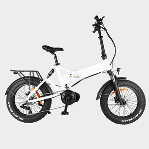 Afang — vélo électrique 1000 w <span class=keywords><strong>de</strong></span> 20 pouces, ebike, moteur dans le pédalier, roue large - Product Image 3