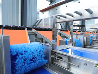 Heetverkopende, hoog-efficiënte industriële automatische sorteermachine voor fruit