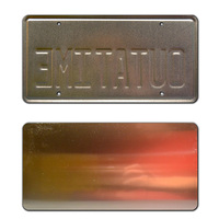 Targa Automobilistica in Alluminio Personalizzata con Logo in Rilievo, Targhe Metalliche per Auto