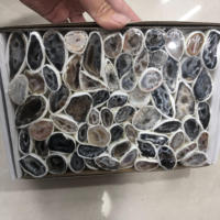 Boîte de géode de graines naturelles de haute qualité, 10 pièces, quartz de guérison, artisanat folk, cadeaux, vente en gros