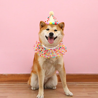 Adorable animal joyeux anniversaire lettre Bandanas chien bavoir et chapeau ensemble accessoires d'anniversaire pour animaux de compagnie