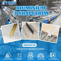Bande de finition murale en alliage d'aluminium en forme de T, finitions personnalisées or et noir, étanche et durable, vente en gros directe usine