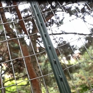 Recinto della rete metallica del recinto dell'azienda agricola di campo/recinto del campo dei cervi/recinto delle pecore - Product Image 5