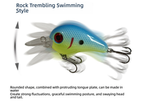 Leurre de pêche au bar Deep Diver 40mm/6g 48mm/10g, crankbait durable et efficace, OEM, pour rivière, lac, ruisseau, leurre artificiel dur