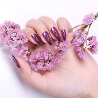 Poudre acrylique pour ongles effet chrome avec effet holographique Aurora caméléon, pigment métallique miroir à séchage rapide pour nail art et artisanat en résine