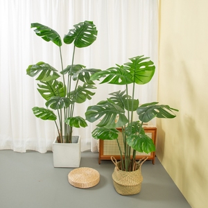 <span class=keywords><strong>Plante</strong></span> artificielle <span class=keywords><strong>monstera</strong></span>, fausse feuille de tortue <span class=keywords><strong>Monstera</strong></span> blanche et verte, arbres en plastique, <span class=keywords><strong>plante</strong></span> artificielle <span class=keywords><strong>Monstera</strong></span> panachée - Product Image 5