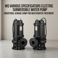 Personnalisation OEM, pompe submersible électrique en acier inoxydable pour eaux usées, diverses spécifications industrielles WQ