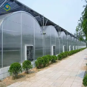Sainpoly serre agricole polycarbonate greenhouse hydroponic greenhouse from china