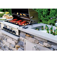 Four et grilles d'extérieur en acier inoxydable, gril à l'extérieur, île brûlant, meubles de cuisine intégrés, avec comptoir