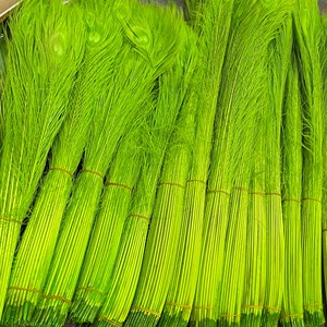 Plumes de paon blanchies et teintes faites à la main en gros pour mariage, décoration de maison, vase, carnaval, fête, bricolage et artisanat - Product Image 2