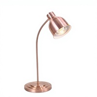 Lampe chauffante commerciale pour buffet, couleur or rose et argent, avec tuyau flexible, ampoule 250W, pour restaurant, traiteur, barbecue