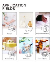 Diffuseur d'huiles essentielles pour voiture WATIANMPH en gros, 100% pur et biologique, parfum frais, huile d'eucalyptus radiata thérapeutique