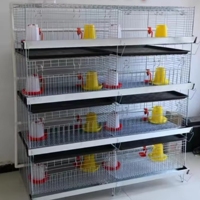 Cages d'élevage verticales à quatre niveaux avec fil galvanisé pour les fermes avicoles