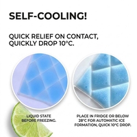 Coussin rafraîchissant en gros avec technologie PCM, tapis de glace réutilisables avec PCM 28 ° Coussin de chaise de bureau pour chaise de bureau et siège de voiture