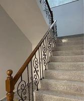 Balustres d'escalier en fer forgé personnalisés de haute qualité Double conception de cage à oiseaux pour villas plusieurs options de balustrades